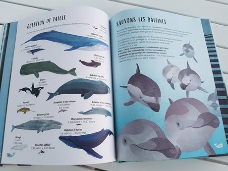 La baleine - Collection Histoire naturelle de Smriti Prasadam-Halls et Jonathan Woodward