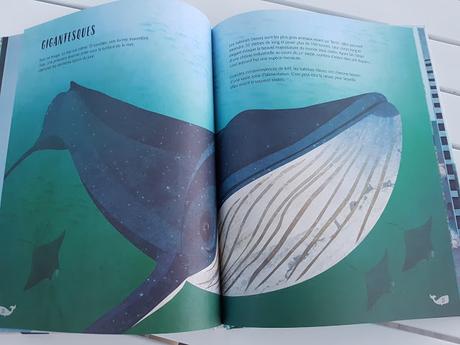 La baleine - Collection Histoire naturelle de Smriti Prasadam-Halls et Jonathan Woodward