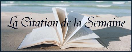 #13 La Citation de la Semaine