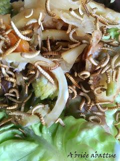 Wrap Buffalo aux légumes racines Wrap Buffalo aux légumes racines