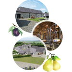 100% BELGE : La distillerie de Biercée 100% BELGE : La distillerie de Biercée