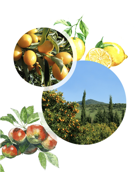 100% BELGE : La distillerie de Biercée Capture d’écran 2018-11-26 à 10.11.33