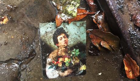 Pensées de Rome glanées sur FB