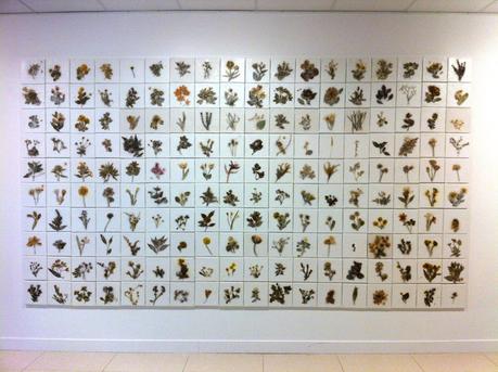 43157229_1691555937621173_3609622684586999808_n