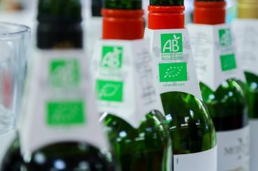 Les ventes de vins bio devraient doubler de volume d'ici 2022 en France