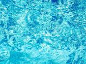 Comment fabriquer piscine pour chien