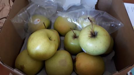 Pommes AOP du Limousin