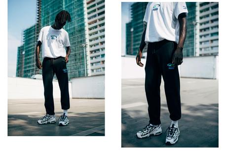 Tout ce que vous devez savoir sur la technologie Puma Cell Tout ce que vous devez savoir sur la Puma Cell