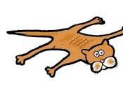 L'ultime d'un félin