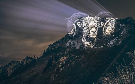 Alpes : des projections géantes des espèces menacées de nos montagnes Alpes : des projections géantes des espèces menacées de nos montagnes