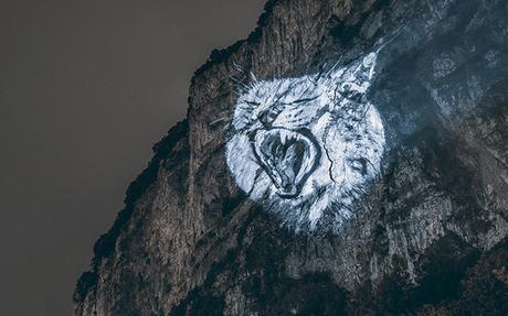 Alpes : des projections géantes des espèces menacées de nos montagnes Alpes : des projections géantes des espèces menacées de nos montagnes