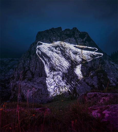 Alpes : des projections géantes des espèces menacées de nos montagnes Alpes : des projections géantes des espèces menacées de nos montagnes