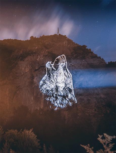 Alpes : des projections géantes des espèces menacées de nos montagnes Alpes : des projections géantes des espèces menacées de nos montagnes