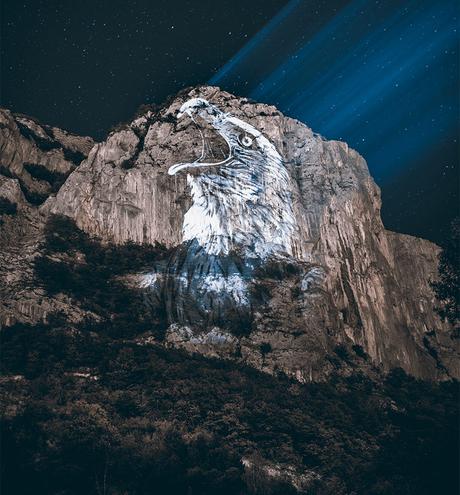 Alpes : des projections géantes des espèces menacées de nos montagnes Alpes : des projections géantes des espèces menacées de nos montagnes