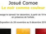 Galerie Schwab Beaubourg exposition Josué Comoe noir comme couleur 28/11 9/12/2018