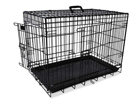 Une caisse de transport en voiture est-elle obligatoire ? Que dit la législation ?