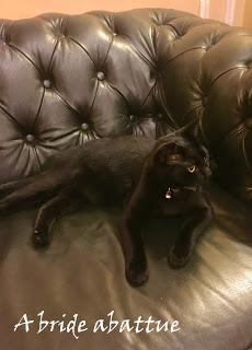 Hotel Chopin ... pour passer un moment hors du temps