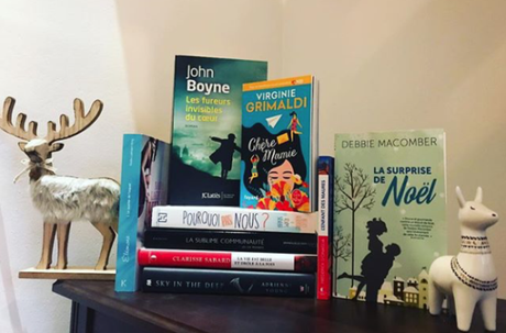 [Bilan mensuel] • Novembre • 2018/11