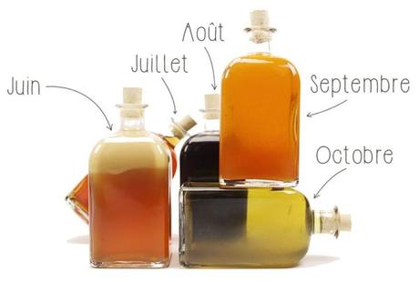 2 Recettes à base de Rhum Arrangé