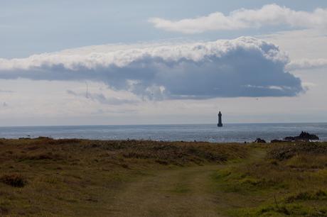 je marche dans la parole plurielle