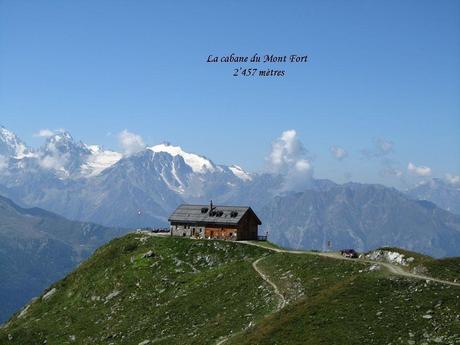 Pays Etranger - La Suisse - Le Mont Fort - 
