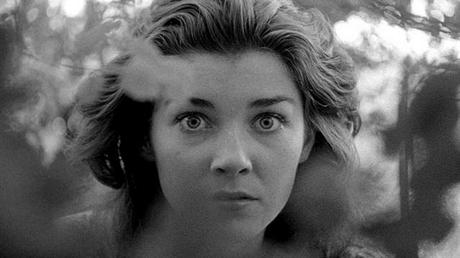 Pourquoi Kubrick? Pourquoi Kubrick?
