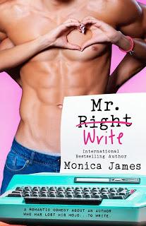 Cover Reveal : Découvrez la couverture et le résumé du prochain roman VO de Monica James , Mr Write
