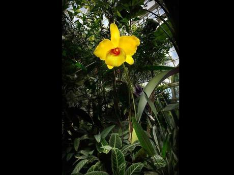 Divers - Sculptures sur verre