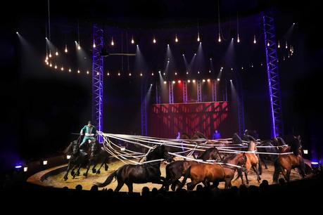 Origines par Alexis Gruss : un show détonnant de haute voltige ! Origines par Alexis Gruss : un show détonnant de haute voltige !