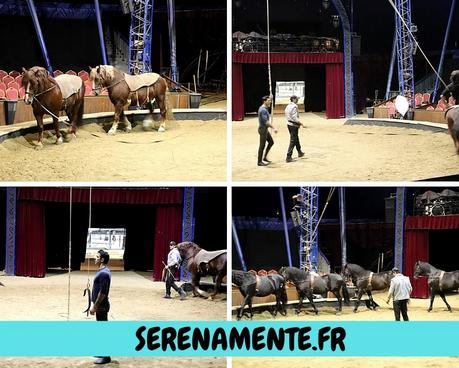 Origines par Alexis Gruss : un show détonnant de haute voltige ! Origines par Alexis Gruss : un show détonnant de haute voltige !