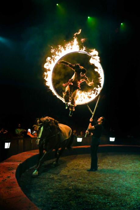 Origines par Alexis Gruss : un show détonnant de haute voltige ! Origines par Alexis Gruss : un show détonnant de haute voltige !