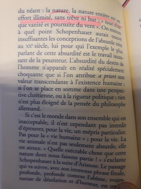 « En présence de Schopenhauer » de Houellebecq, chronique « En présence de Schopenhauer » de Houellebecq, chronique