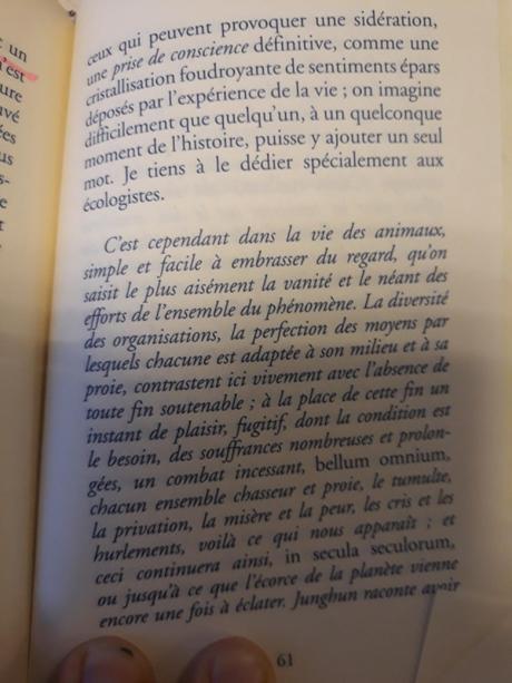 « En présence de Schopenhauer » de Houellebecq, chronique