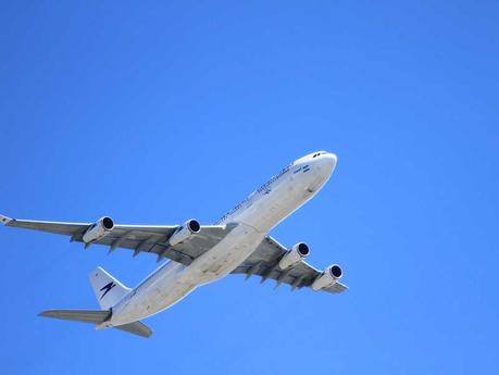 Préparer la cage de son chien pour un vol en avion : les conseils pratiques