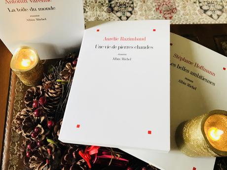 (Noël 2018) Notre sélection littéraire pour Noël
