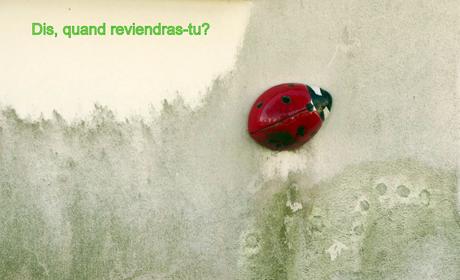 comment on s'oriente à midi?