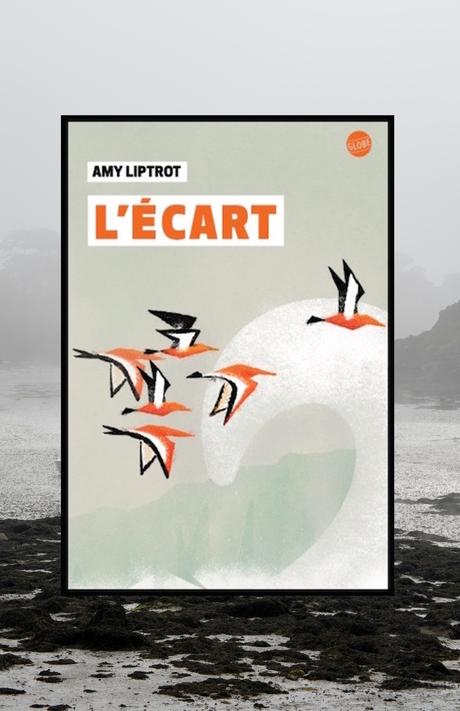 L'écart de Amy LIPTROT