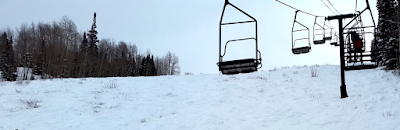 Les arbustes on bien grandit ...