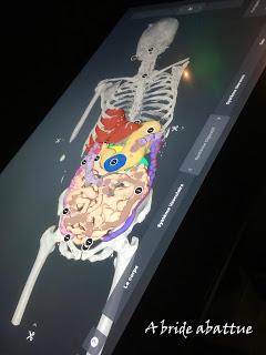 Microbiote, une exposition de la Cité des sciences et de l’industrie