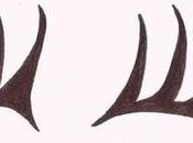 Rejoindre groupe tous Lily Plume nous