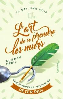 L'art de se prendre les murs de Guilhem Méric