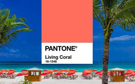 Living Coral : la couleur Pantone de l’année 2019
