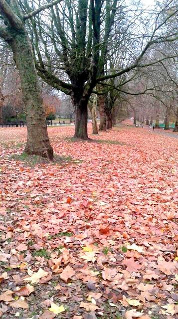 Londres, nov-déc 2018 (1ère partie) Londres, nov-déc 2018 (1ère partie)