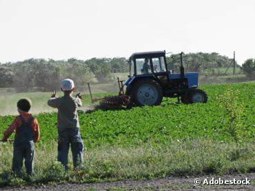 Une centaine de pesticides détectés dans les maisons et les écoles en zone rurale wallonne
