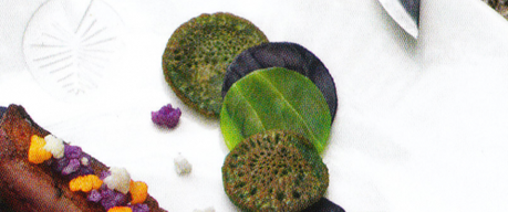 Dernier vol de canard sauvage tout chou