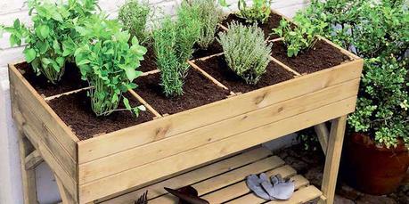 12 plantes et légumes à cultiver sur son balcon