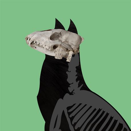 Still life photography designed by Dorine Bessière