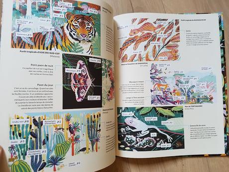 Feuilletage d'albums #76 : spéciale Nouveautés sur le thème de la JUNGLE : Mowgli de la jungle - Les Mystères de la Jungle - Jungles et réserves naturelles du monde - Puzzle jungle Les ateliers du calme
