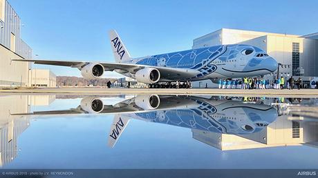 Des Airbus A380 dédiés aux tortues hawaïennes