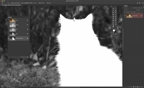 Détourage photoshop